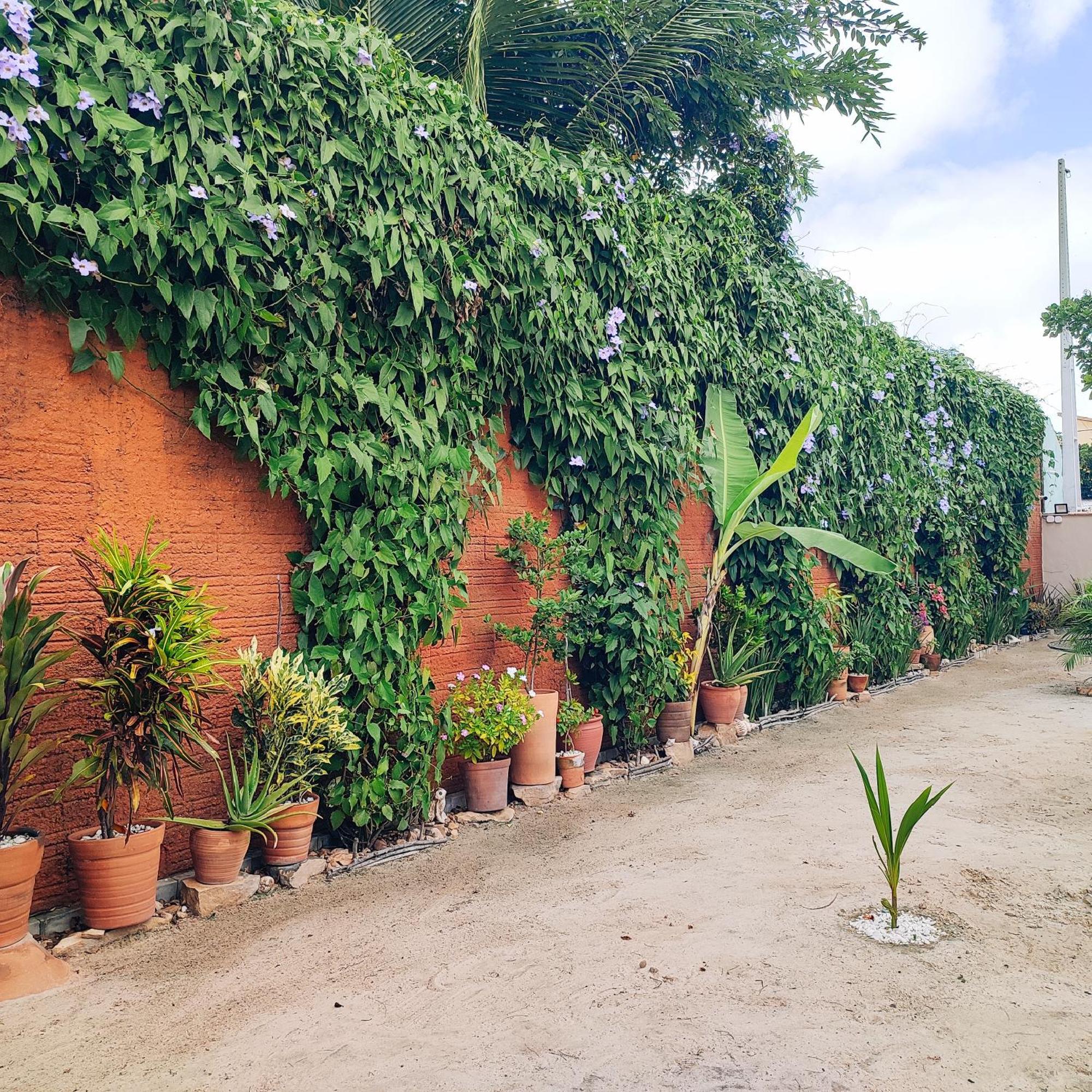 De Ventto Em Popa - São Miguel do Gostoso RN Exterior foto